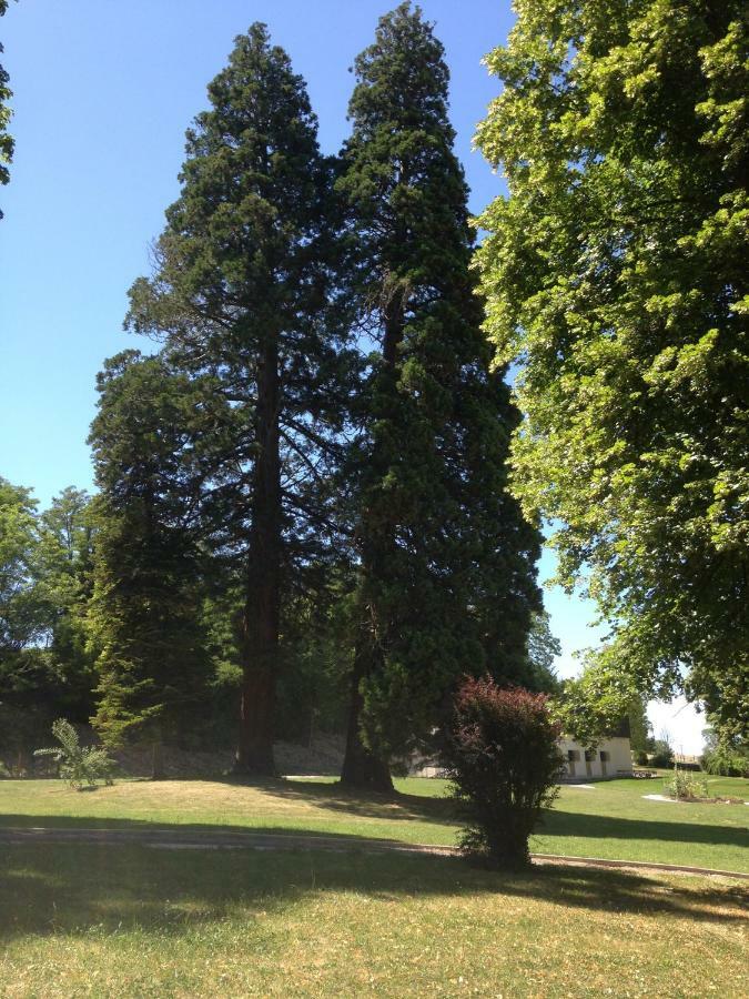 ホテル Chateau De St Alyre Sanssat エクステリア 写真