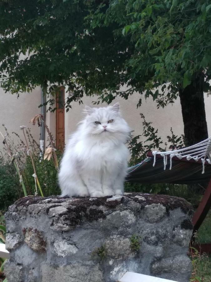 ホテル Chateau De St Alyre Sanssat エクステリア 写真
