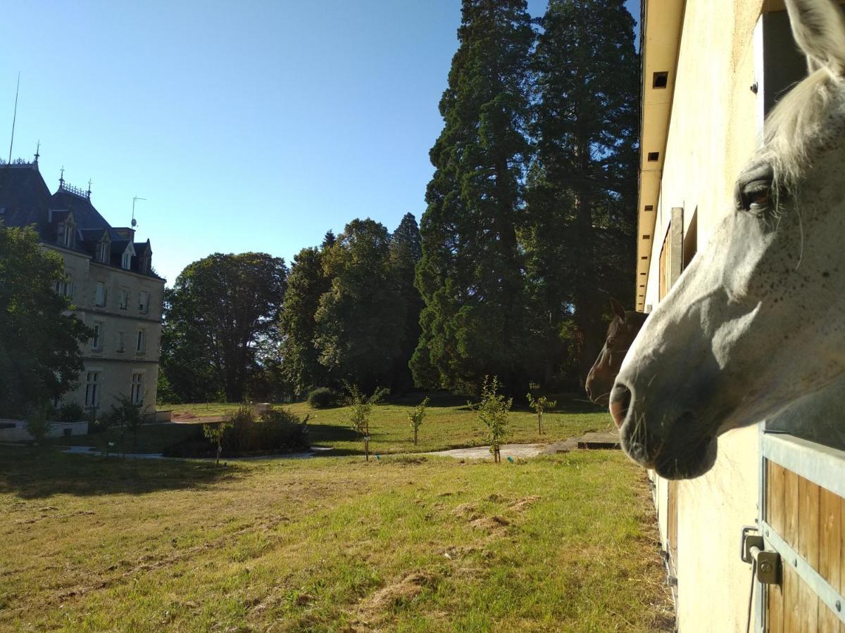 ホテル Chateau De St Alyre Sanssat エクステリア 写真