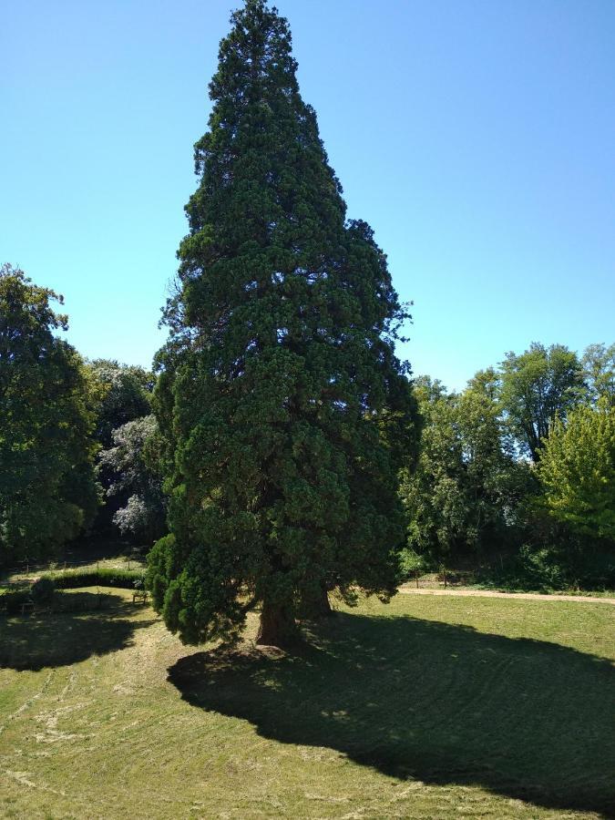 ホテル Chateau De St Alyre Sanssat エクステリア 写真